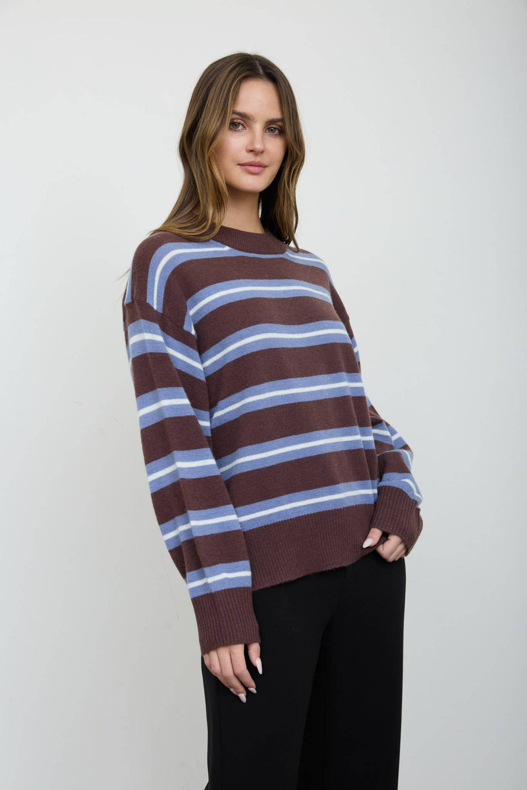 Stripe Crew Neck Relaxed Fit Sweater - Brown Multi